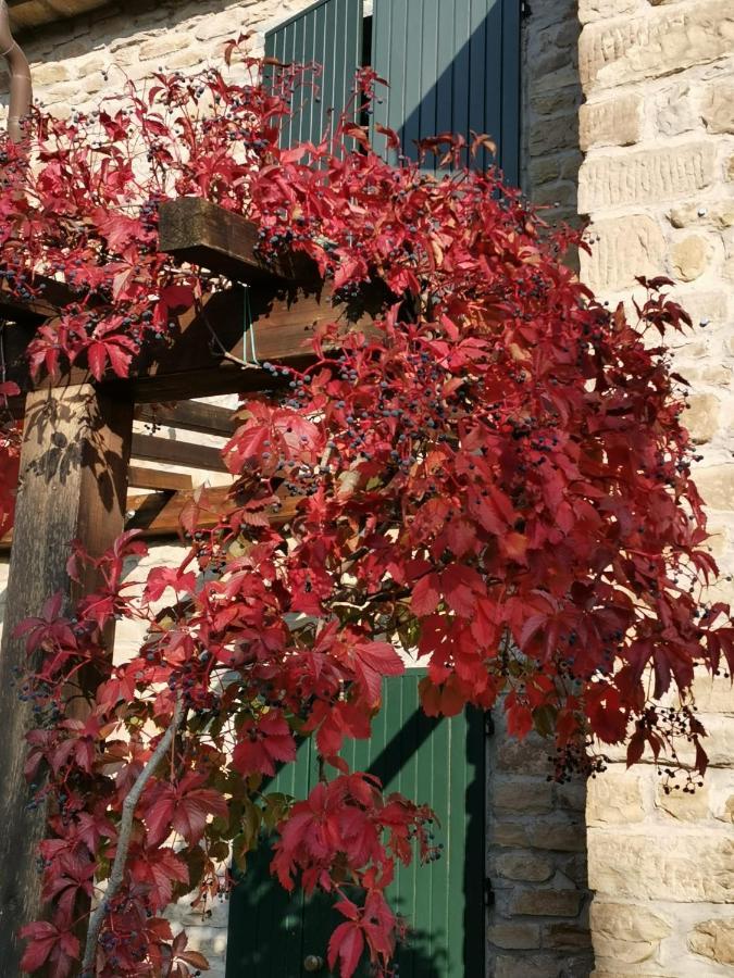 B&B Il Sogno Dovadola Экстерьер фото